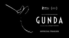 GUNDA / premiéra